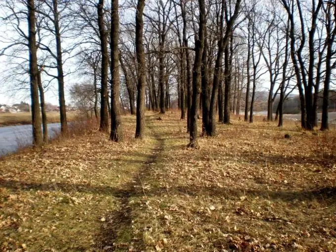 Jak zaregistrovat pozemek k pronájmu