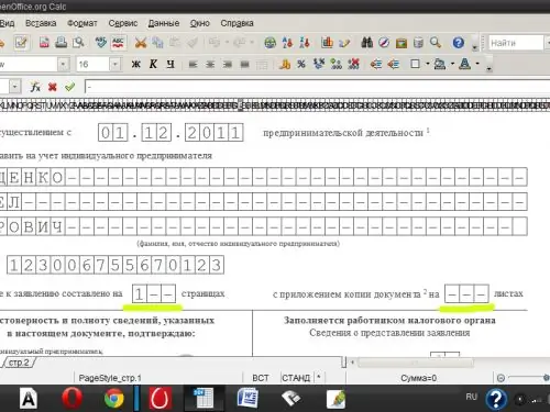 Specificați numărul de pagini și foi de aplicații