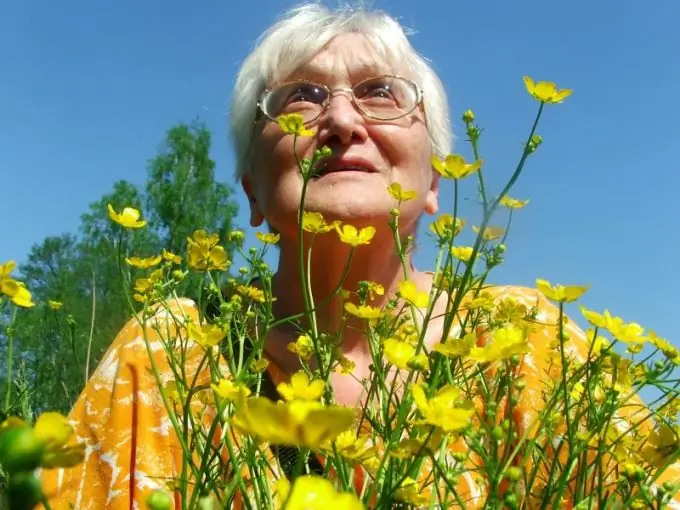 Kateri dokumenti so potrebni za pokroviteljstvo