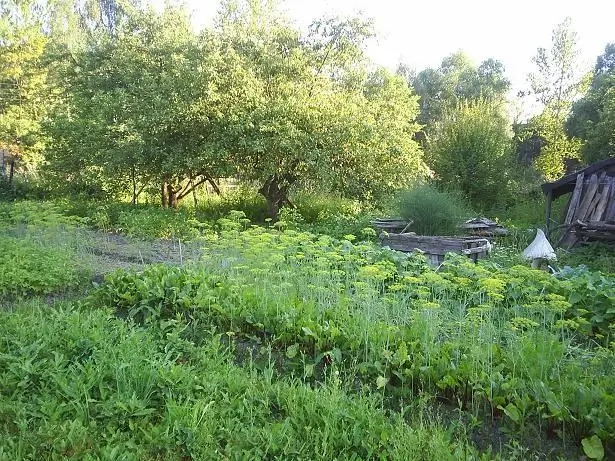 Hoe om grond te registreer vanaf huur in eienaarskap